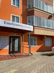 Emelyanova studio (ulitsa Domostroiteley, 4) ، جمال العمل المشترك
