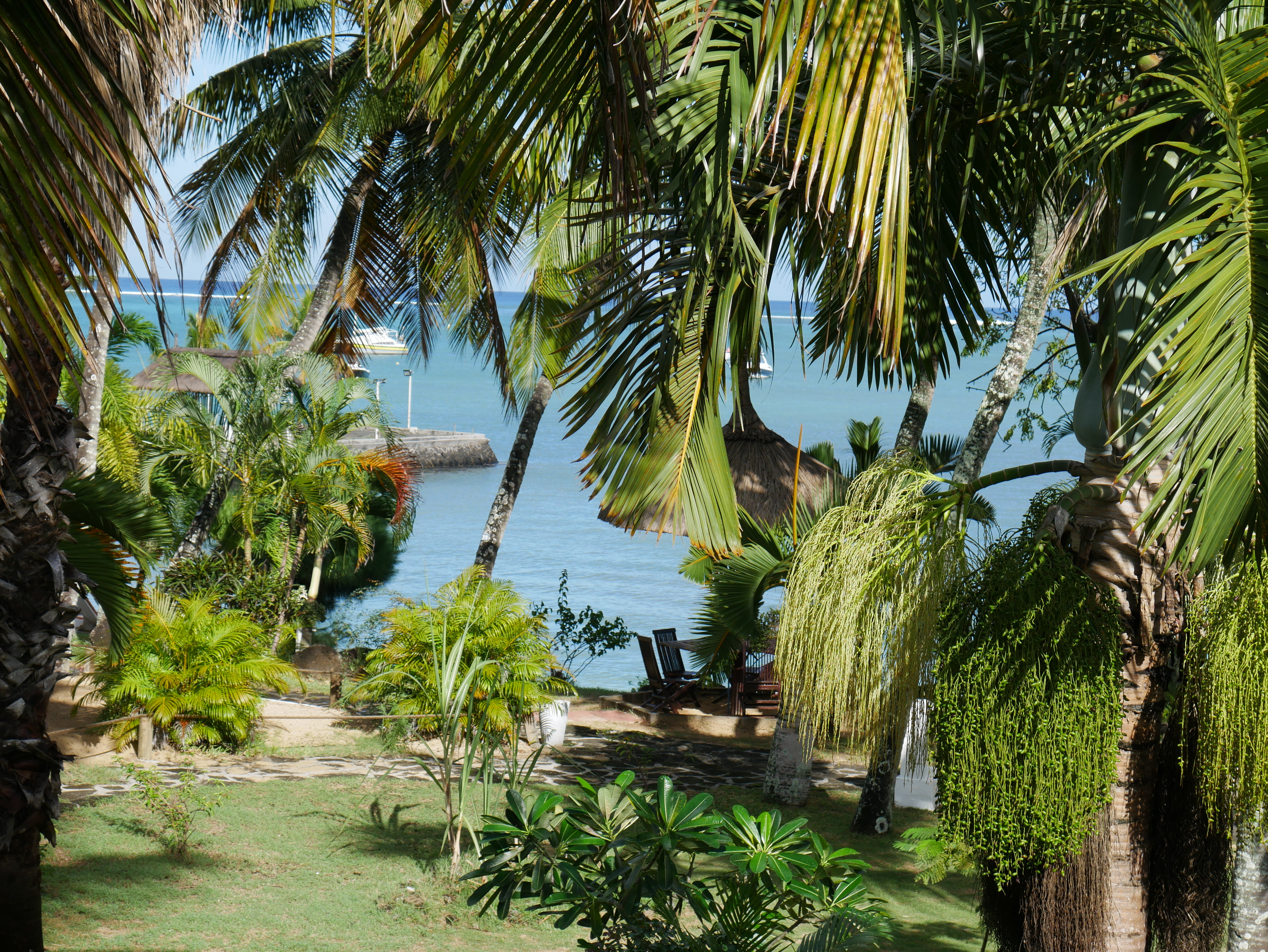 Фото Coral Azur Beach Resort