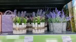 Fix Price (Tayozhnaya ulitsa, 11), home goods store