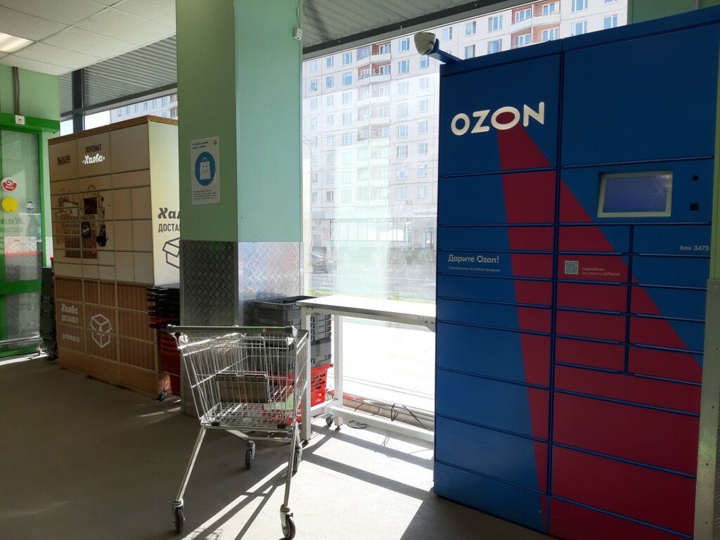 Parcel automat Ozon Box, Moscow, photo