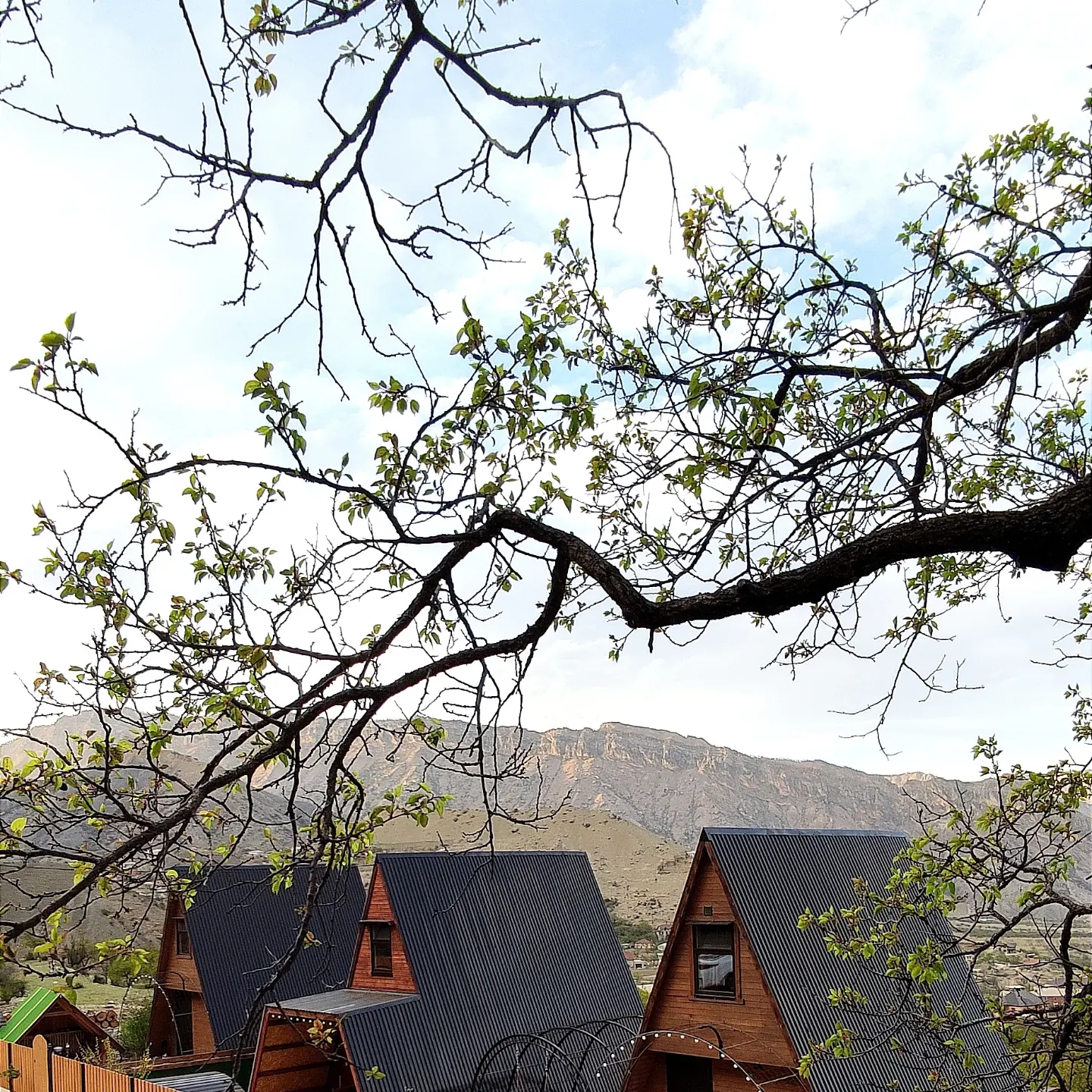 Фото Сиреневый рассвет