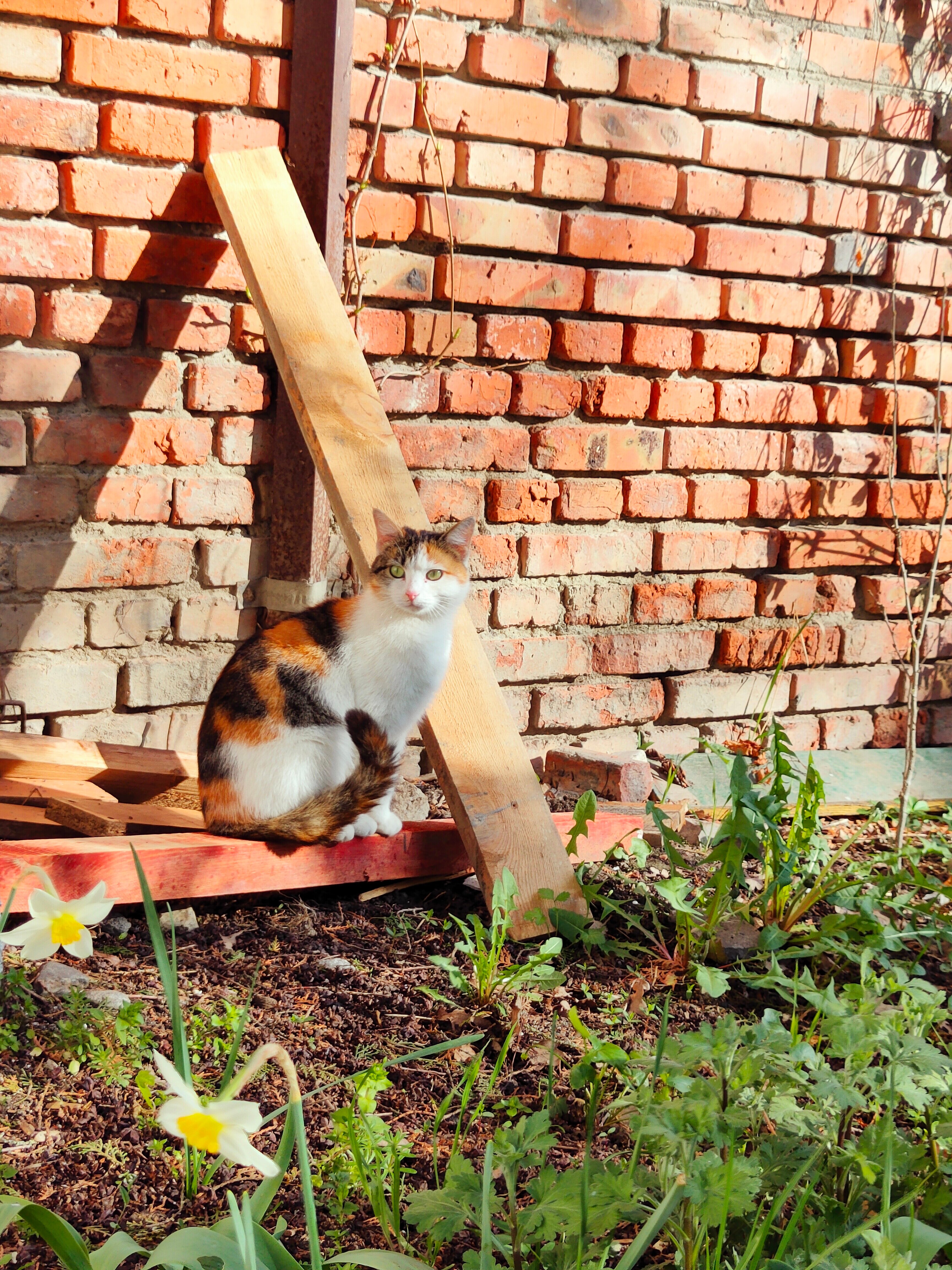 Фото Долина Нарзанов