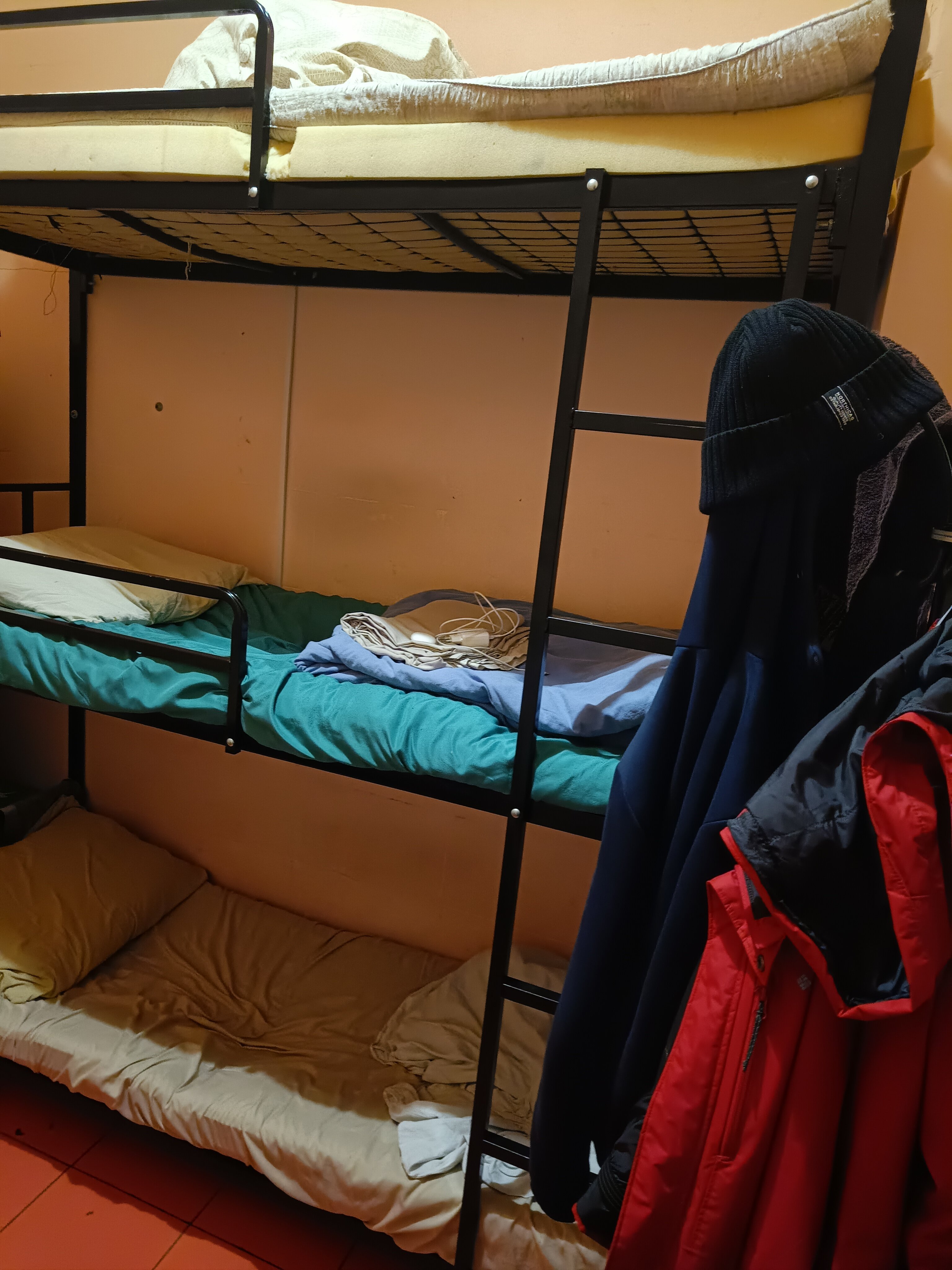 Фото Вежливый Лось