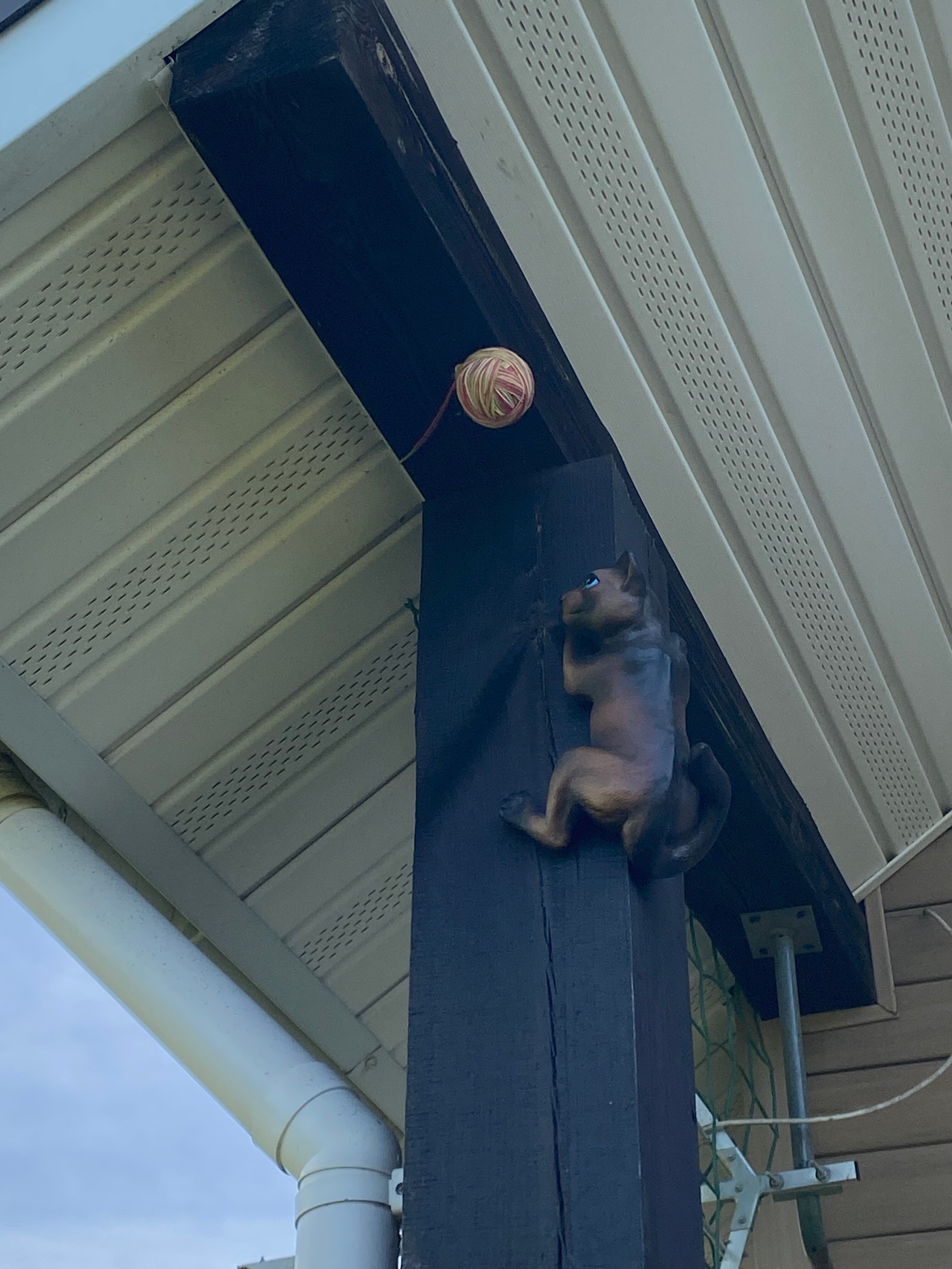 Фото Семейная история