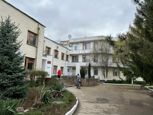 Hospital especializado Чёрные воды, , foto