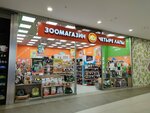 Chetyre Lapy (Moscow, Novomoskovskiy Administrative Okrug, Scherbinka District, Chechyorsky Drive, 51), pet shop