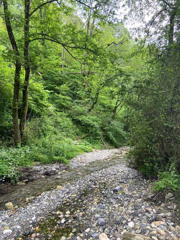 Фото Тихая Гавань