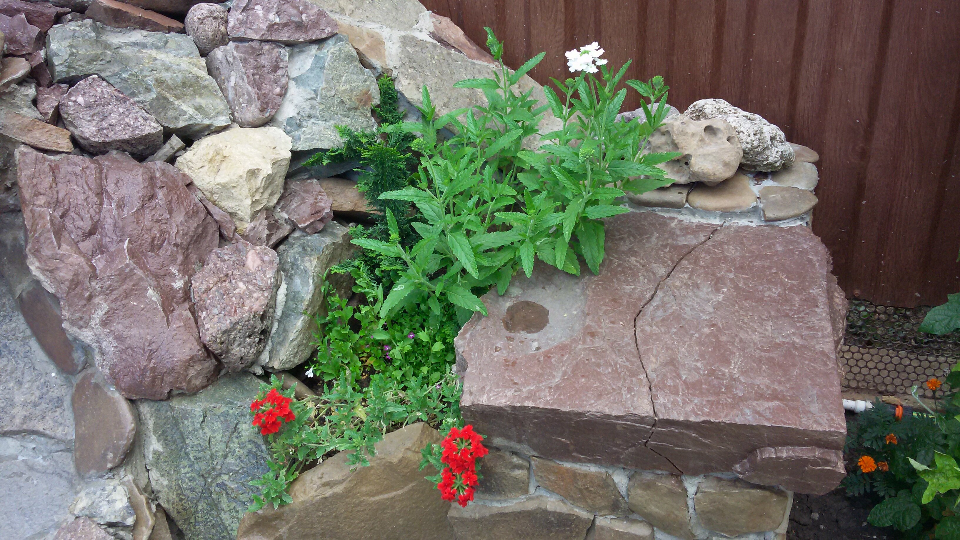 Фото Экотель