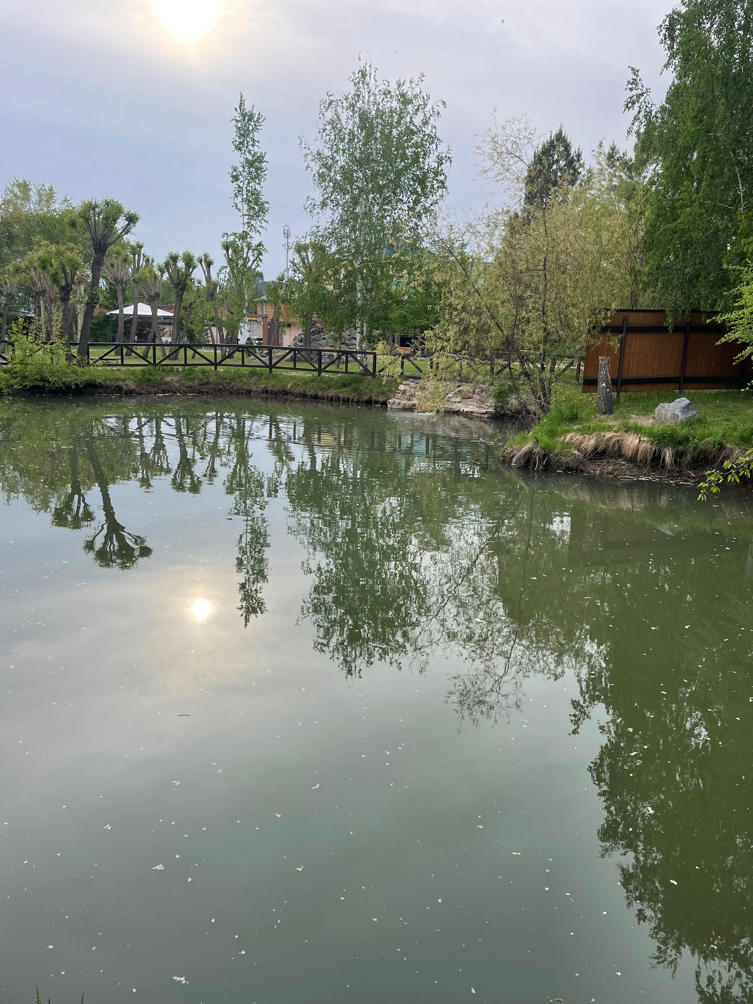 Фото Экопарк Раздолье