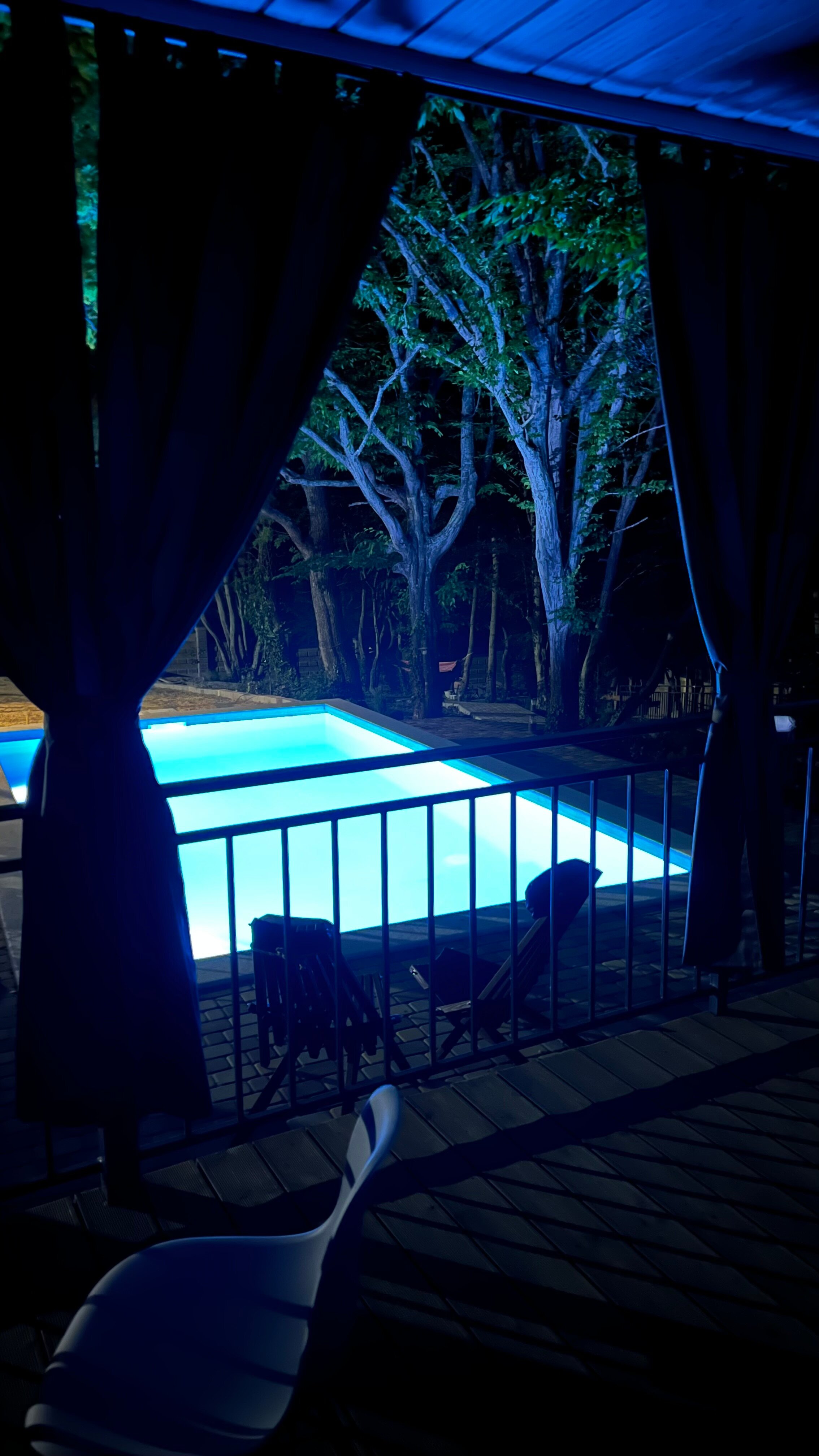 Фото Forest Dreams