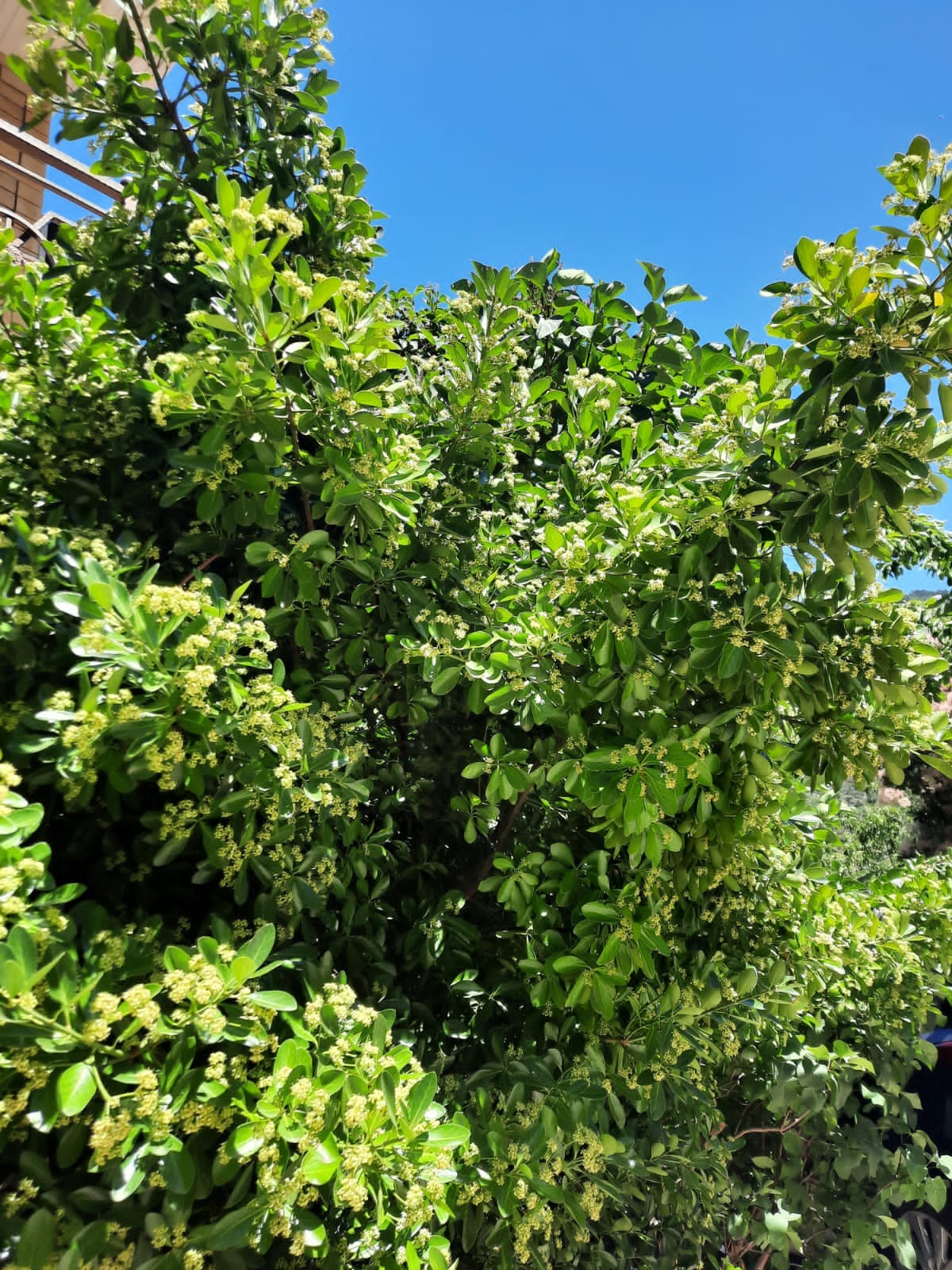 Фото Горный Воздух