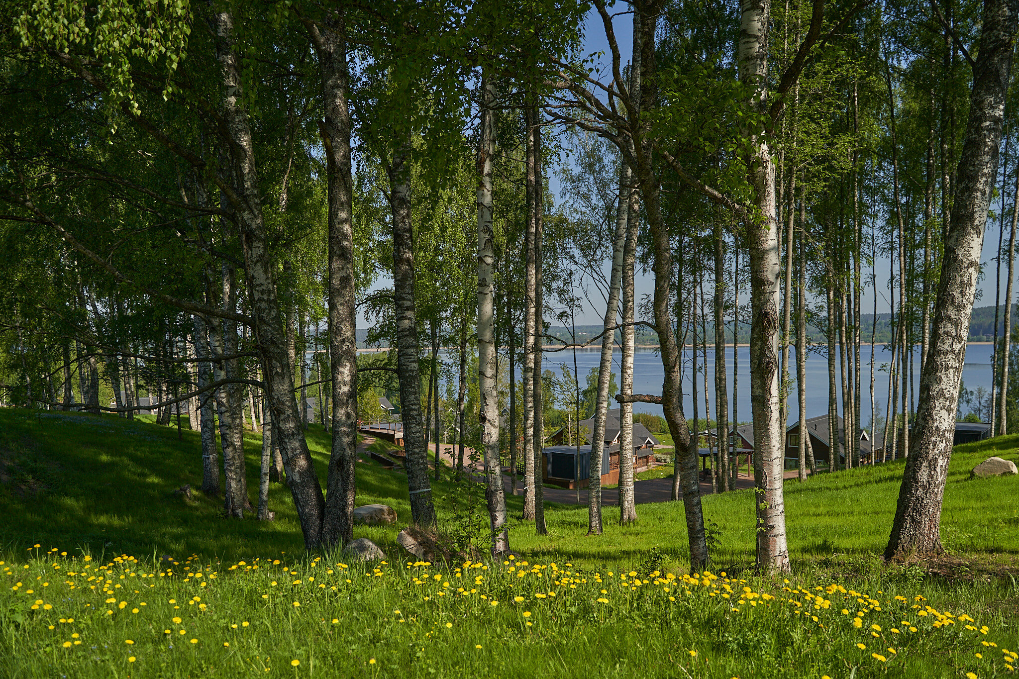 Фото Вохотка