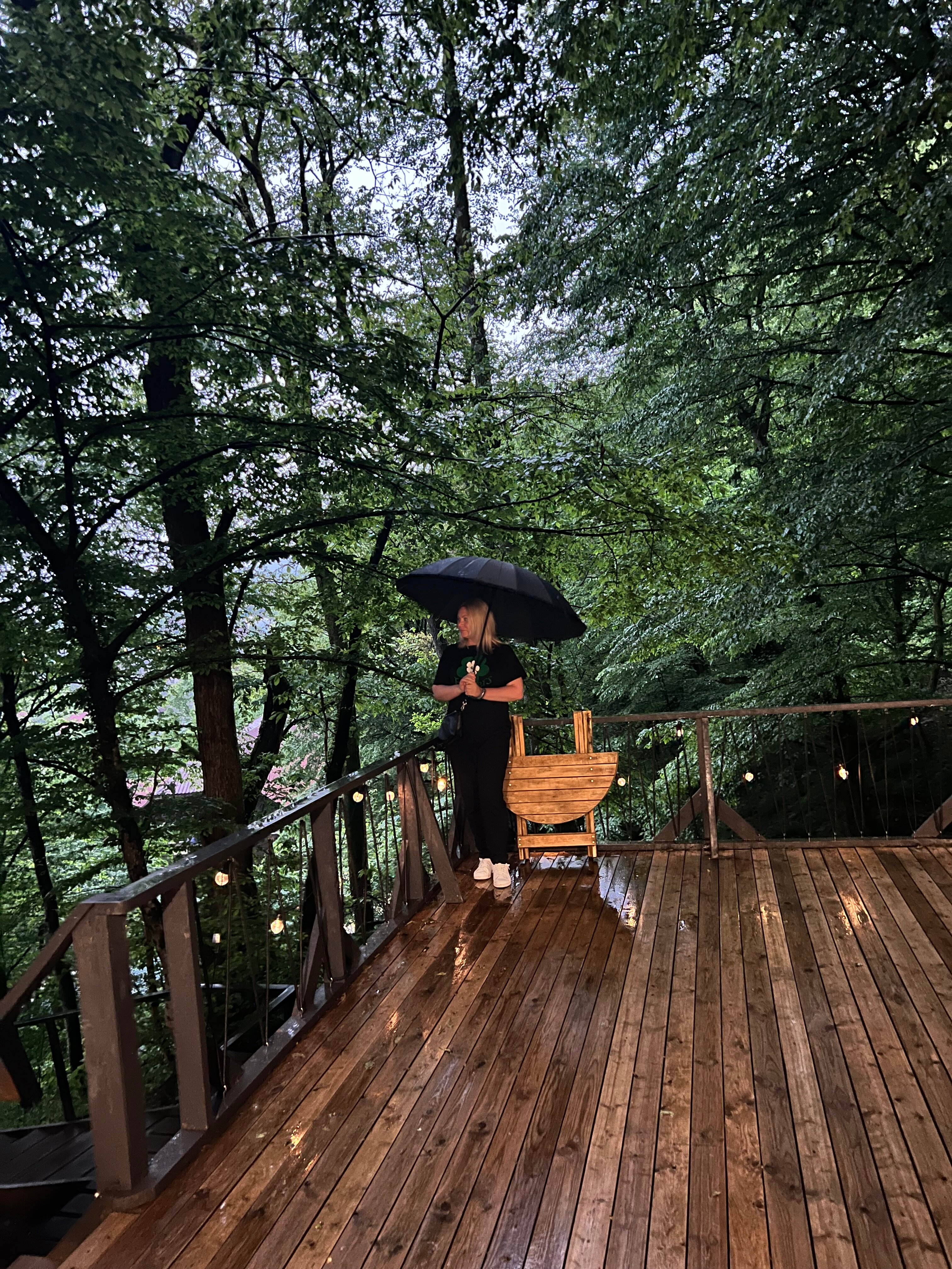 Фото Дзен Поляна