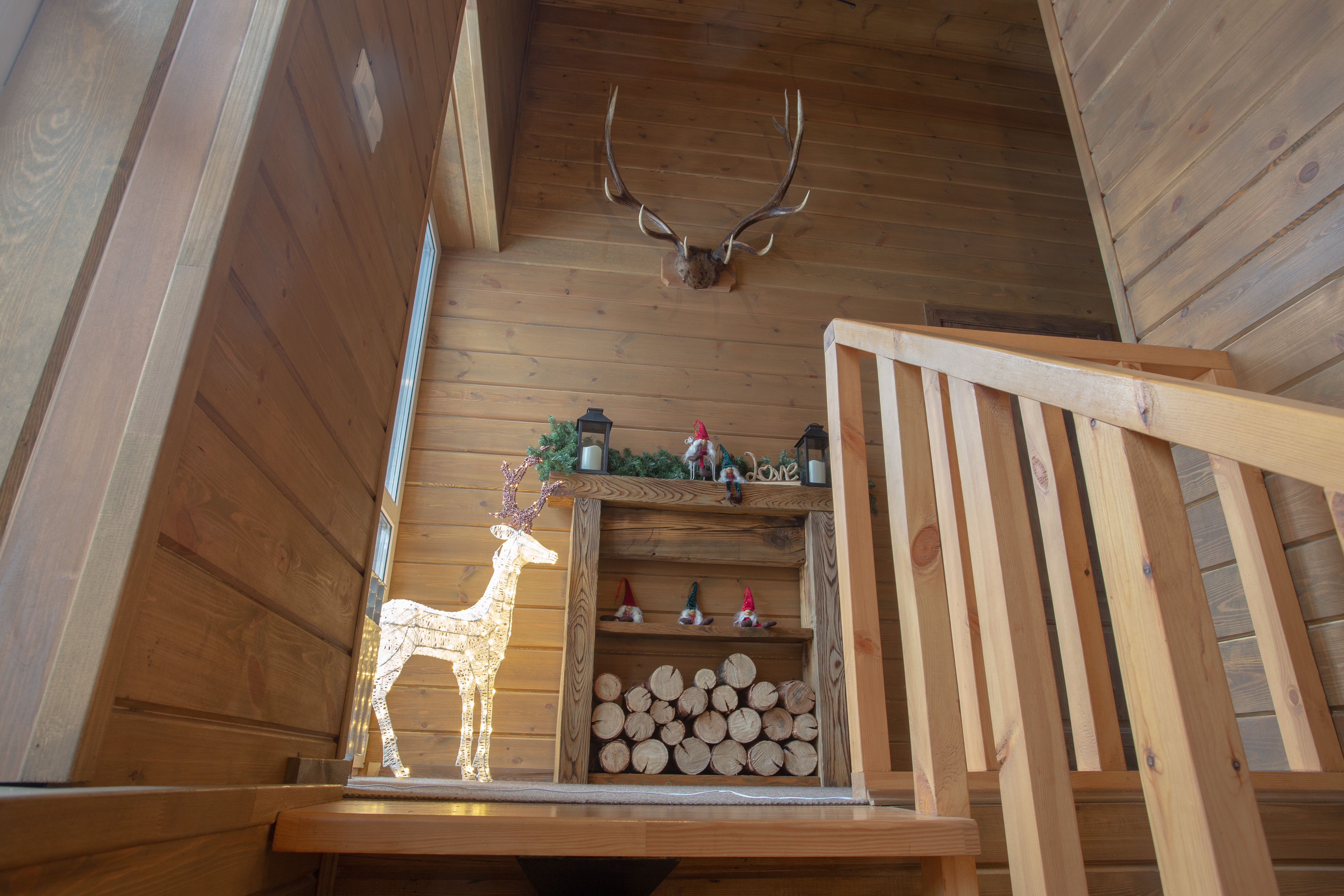 Фото Аршанский бор