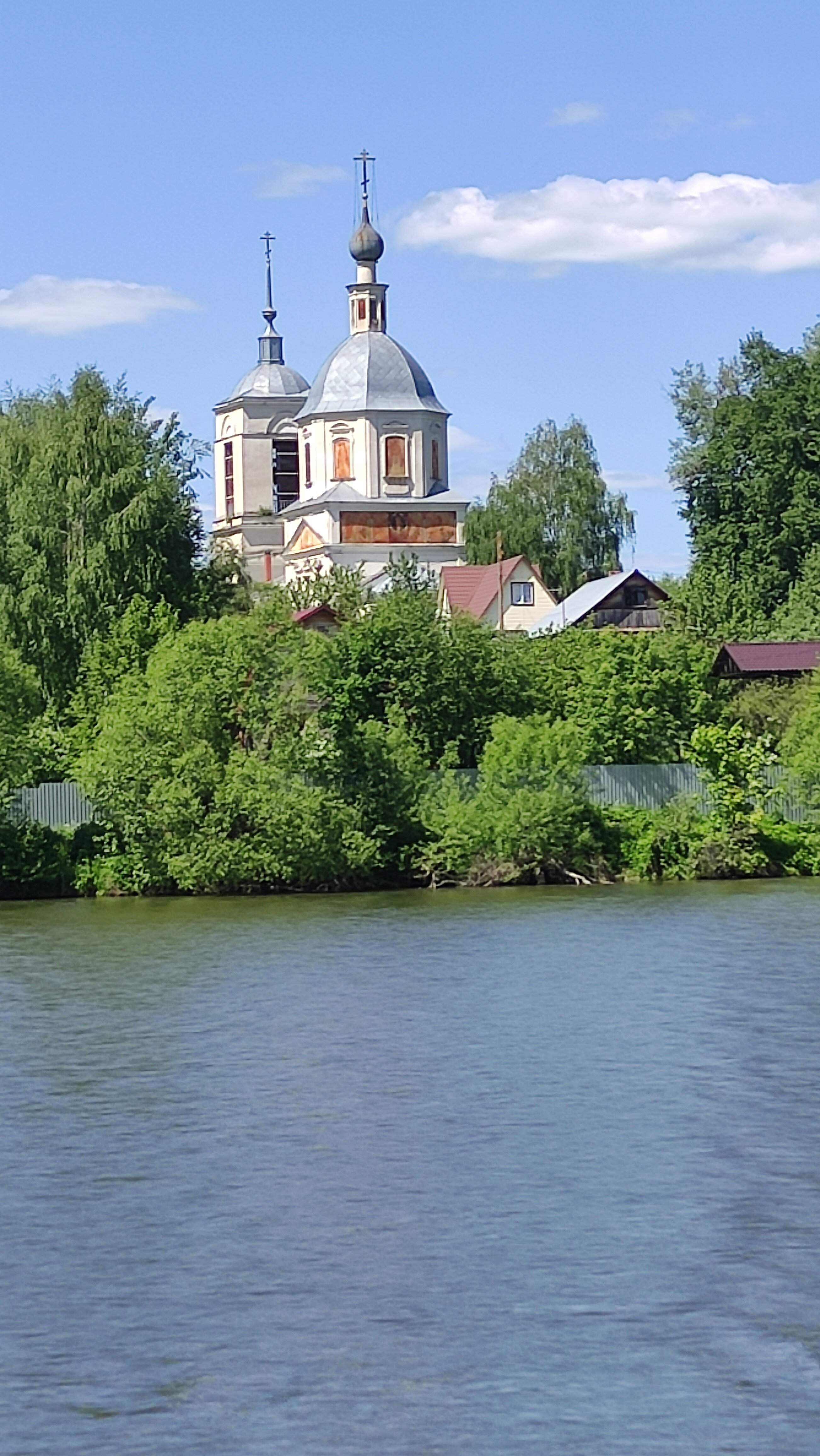 Фото Иволга