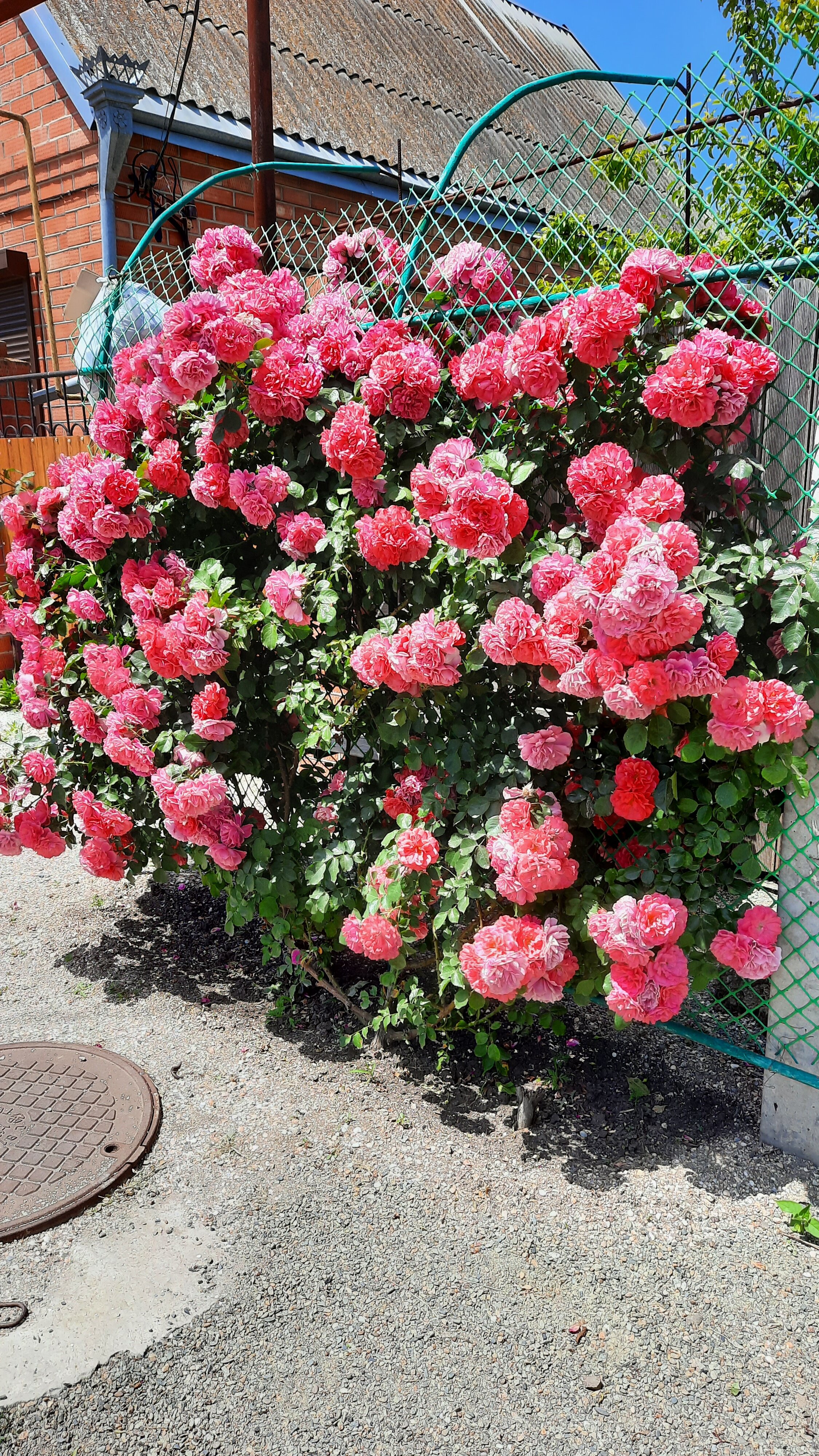 Фото ЭтоЛето