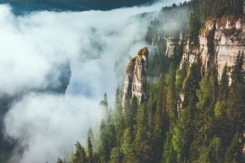 Глэмпинг Территория в Усьве