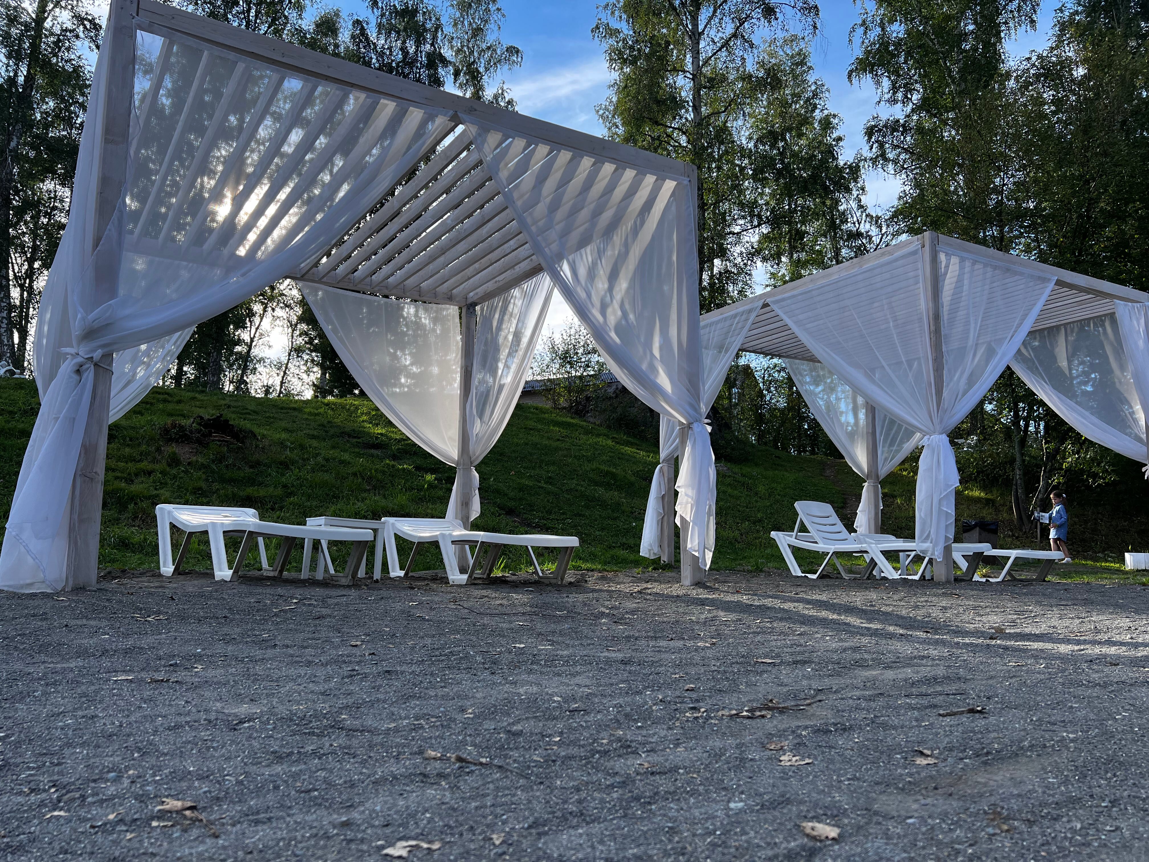 Фото Берёзка