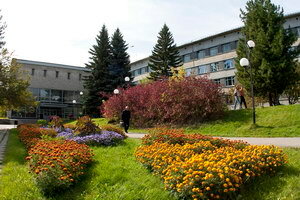 Document management automation Rkit, Irkutsk, photo