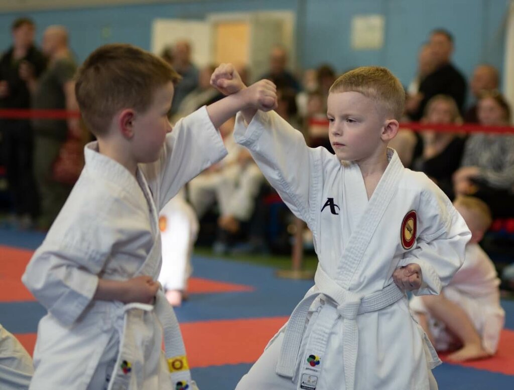 Sports club Central Karate School, Moscow, photo
