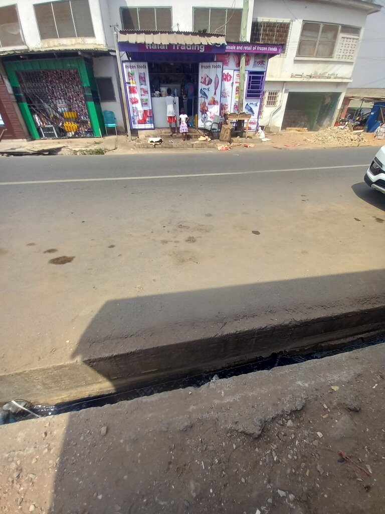 Frozen food products Halal ventures, Earth, photo