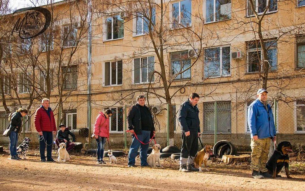 Зооцентр, клуб любителей животных Кинологический центр, Севастополь, фото
