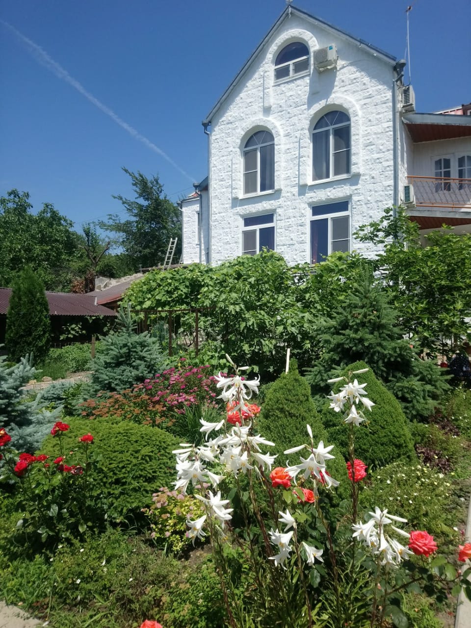 Фото Диана