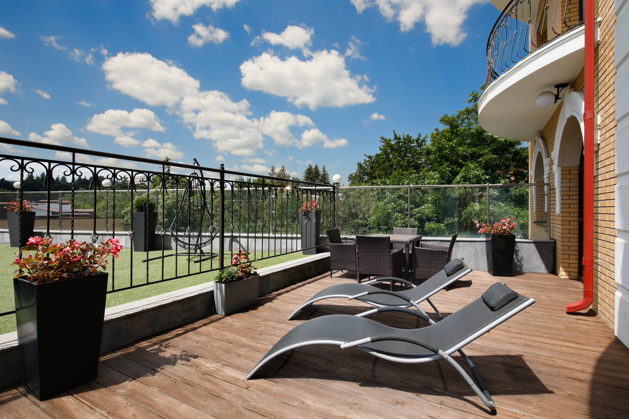 Фото Арника