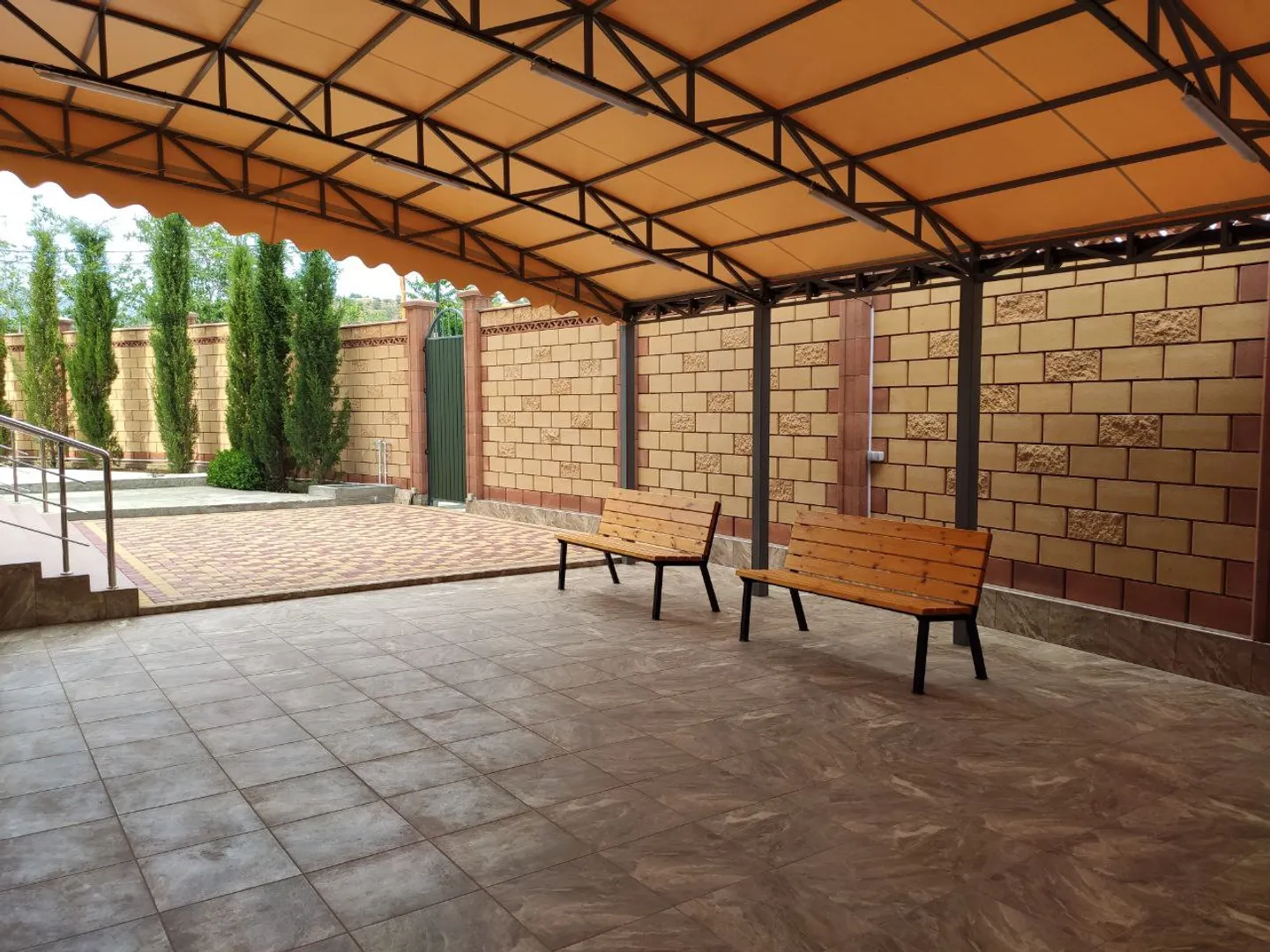 Фото Дельфин