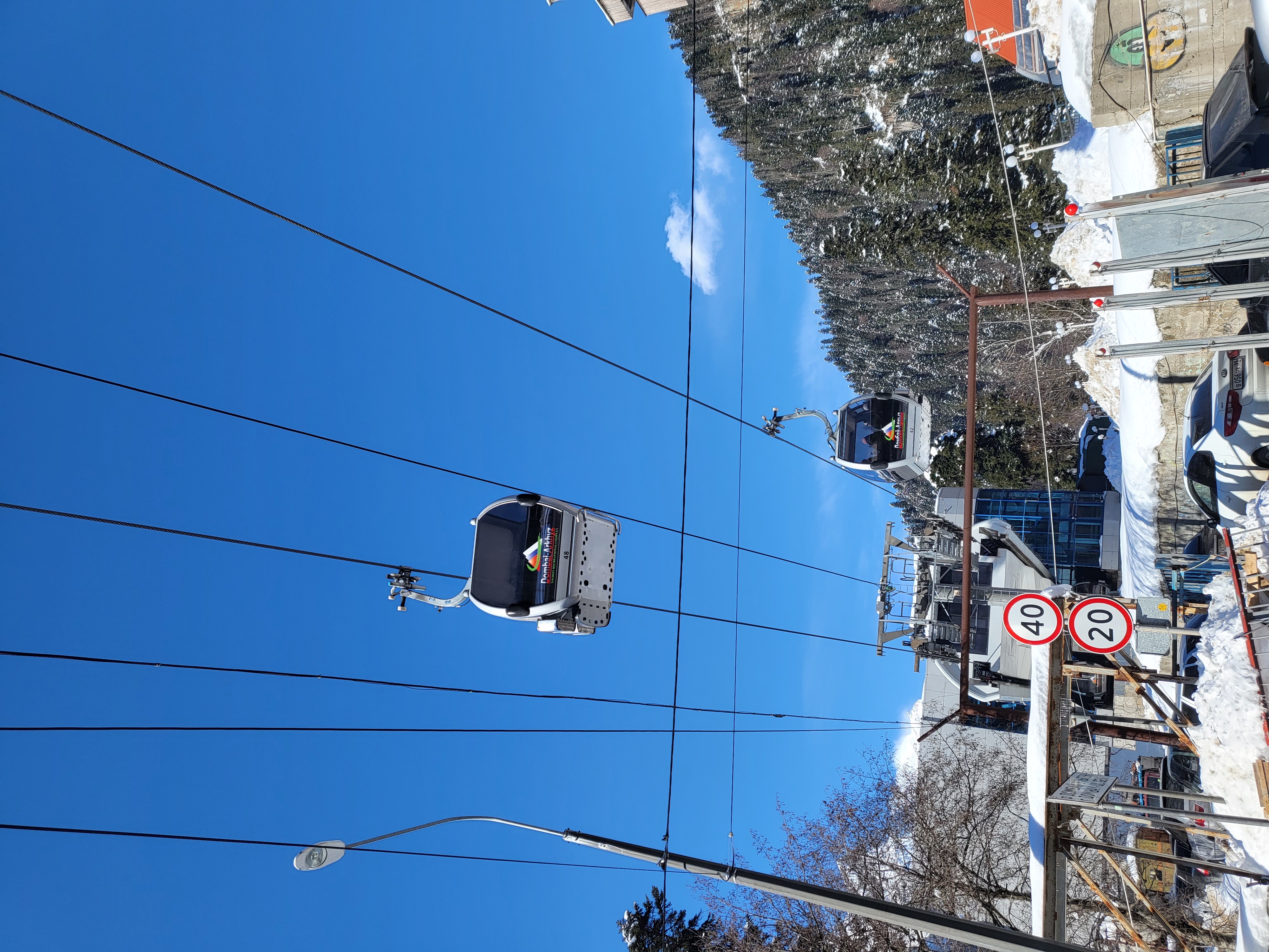 Фото Снежный Барс