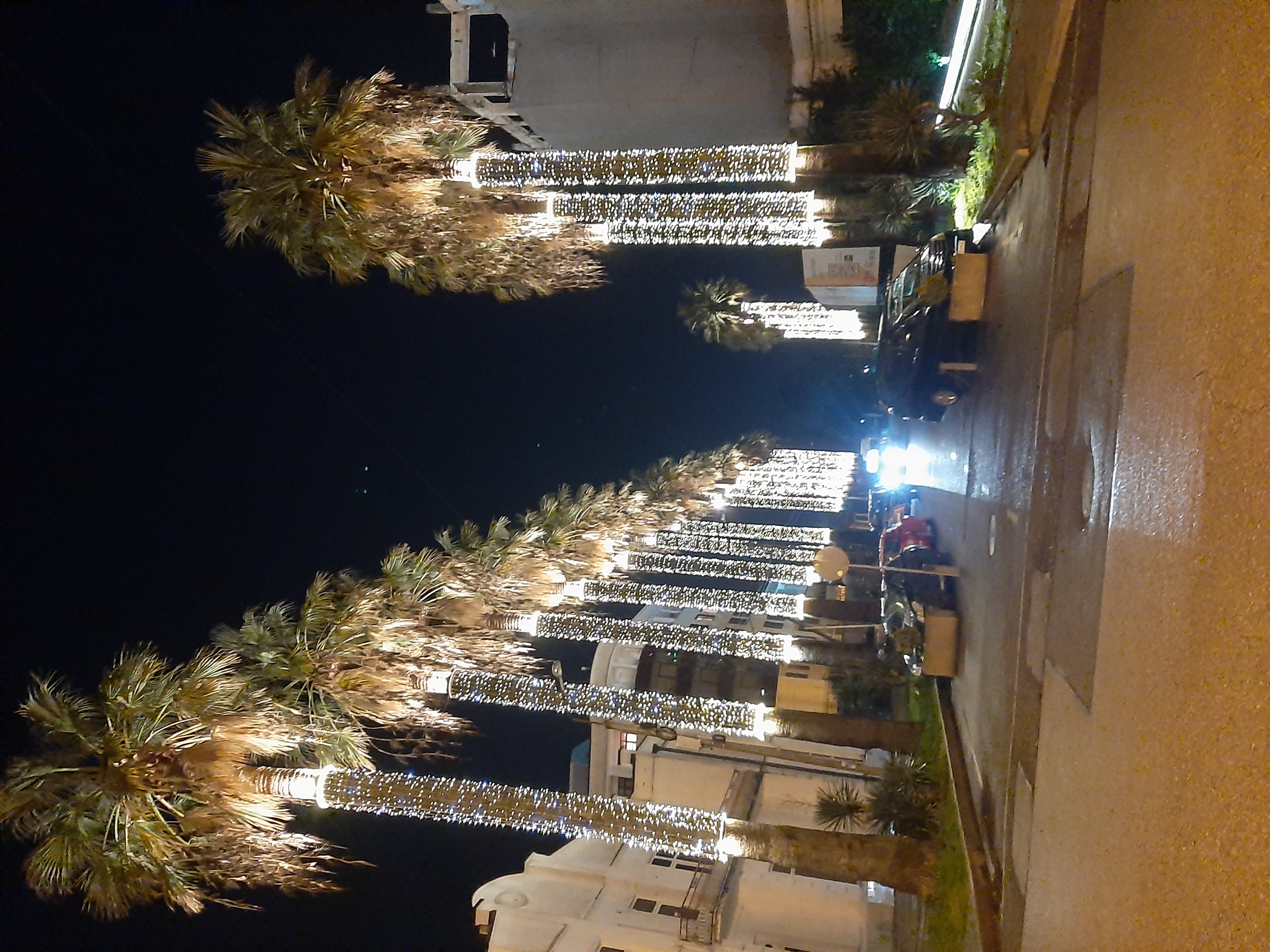 Фото Garuda Boutique Hotel