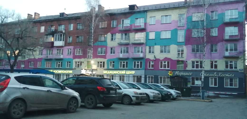 Фото Нарцисс