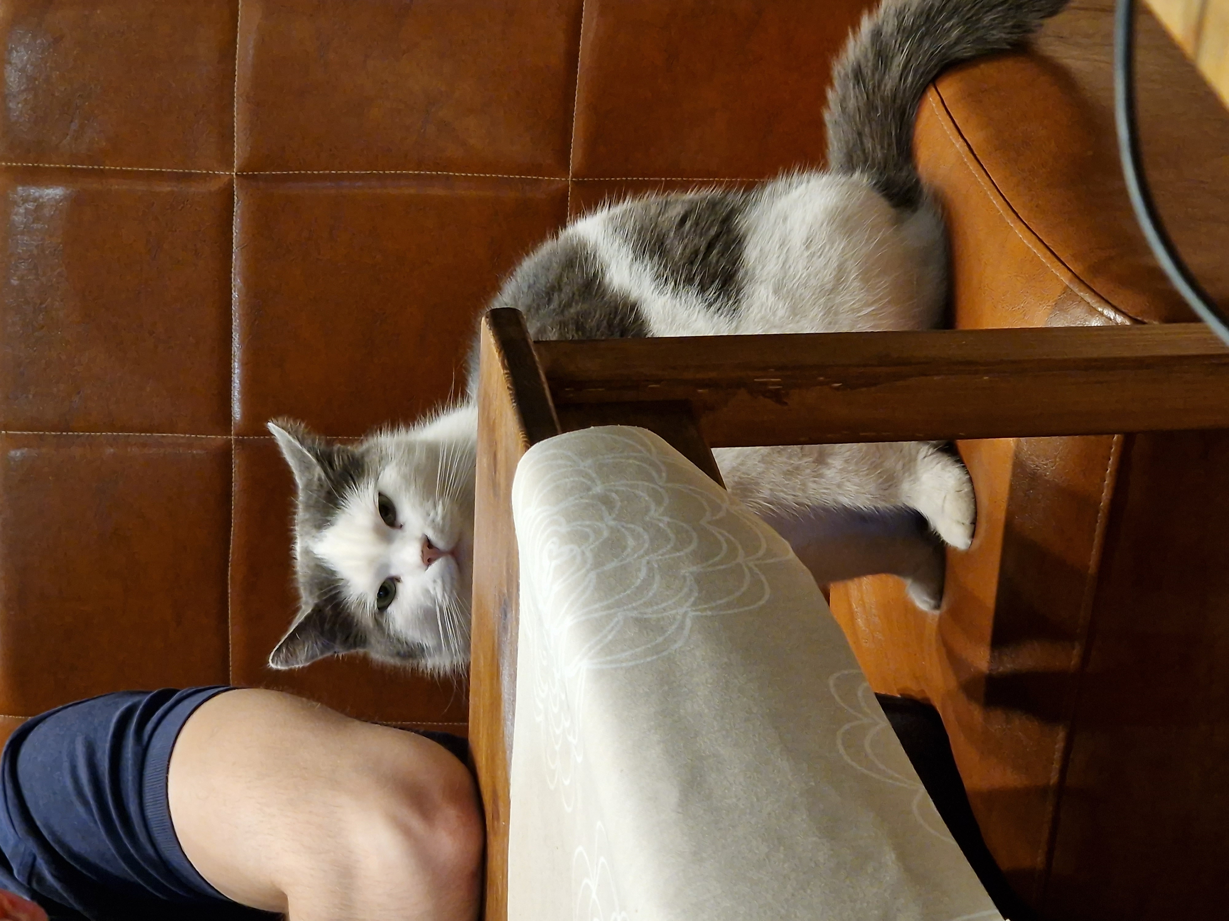 Фото Панфилов