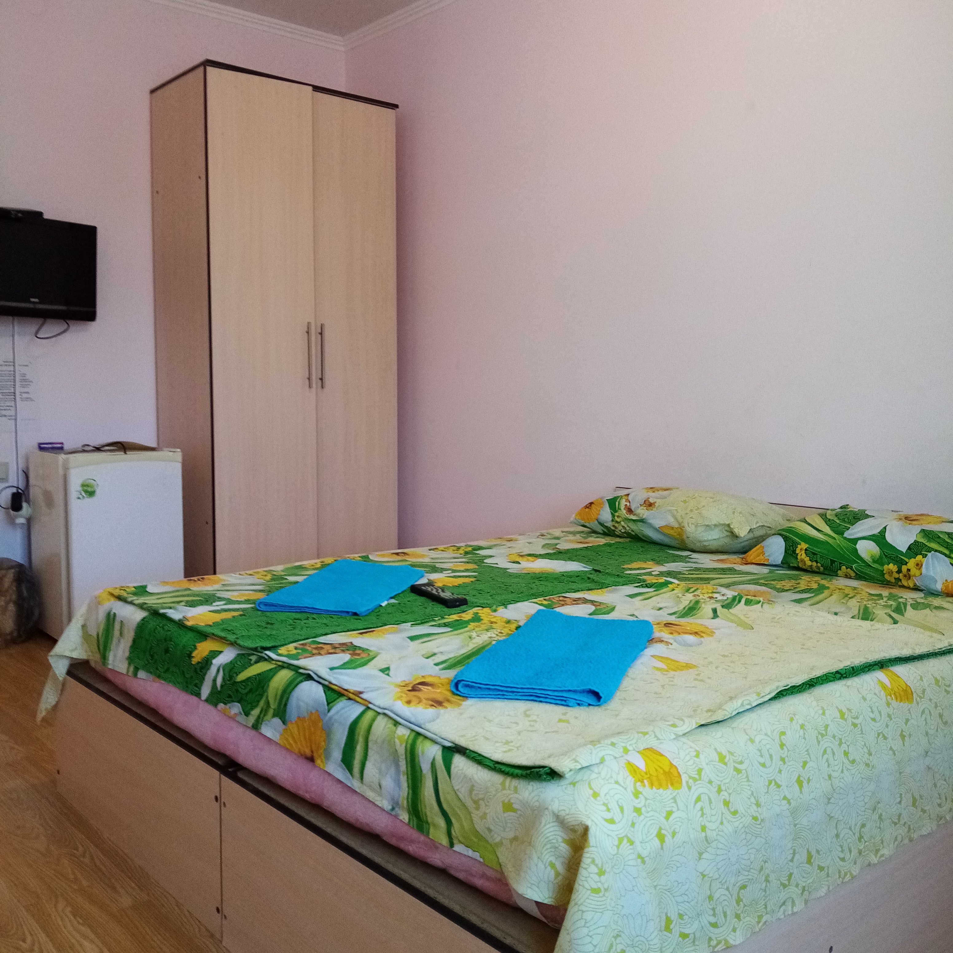 Фото Дельфин