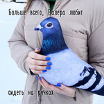 Myagonko (Montyorskaya ulitsa, 3) ، مصنع ملابس