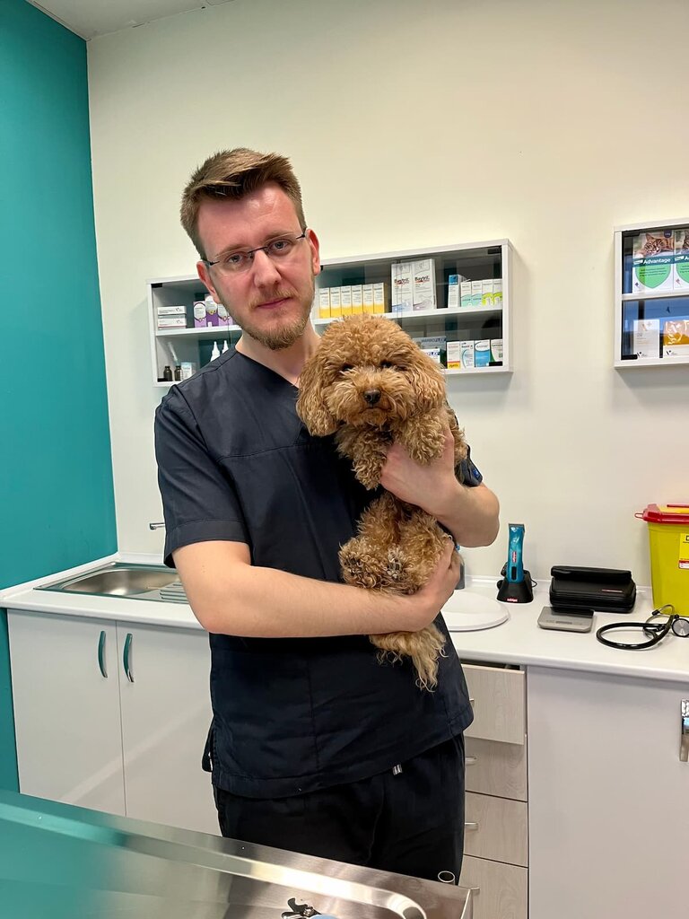 عيادة بيطرية Kucukcekmece Veterinary Clinic ، اسطنبول، صورة