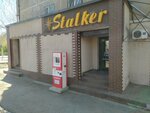 Qiwi (Sattar Erwbaev Street, 35), payment terminal
