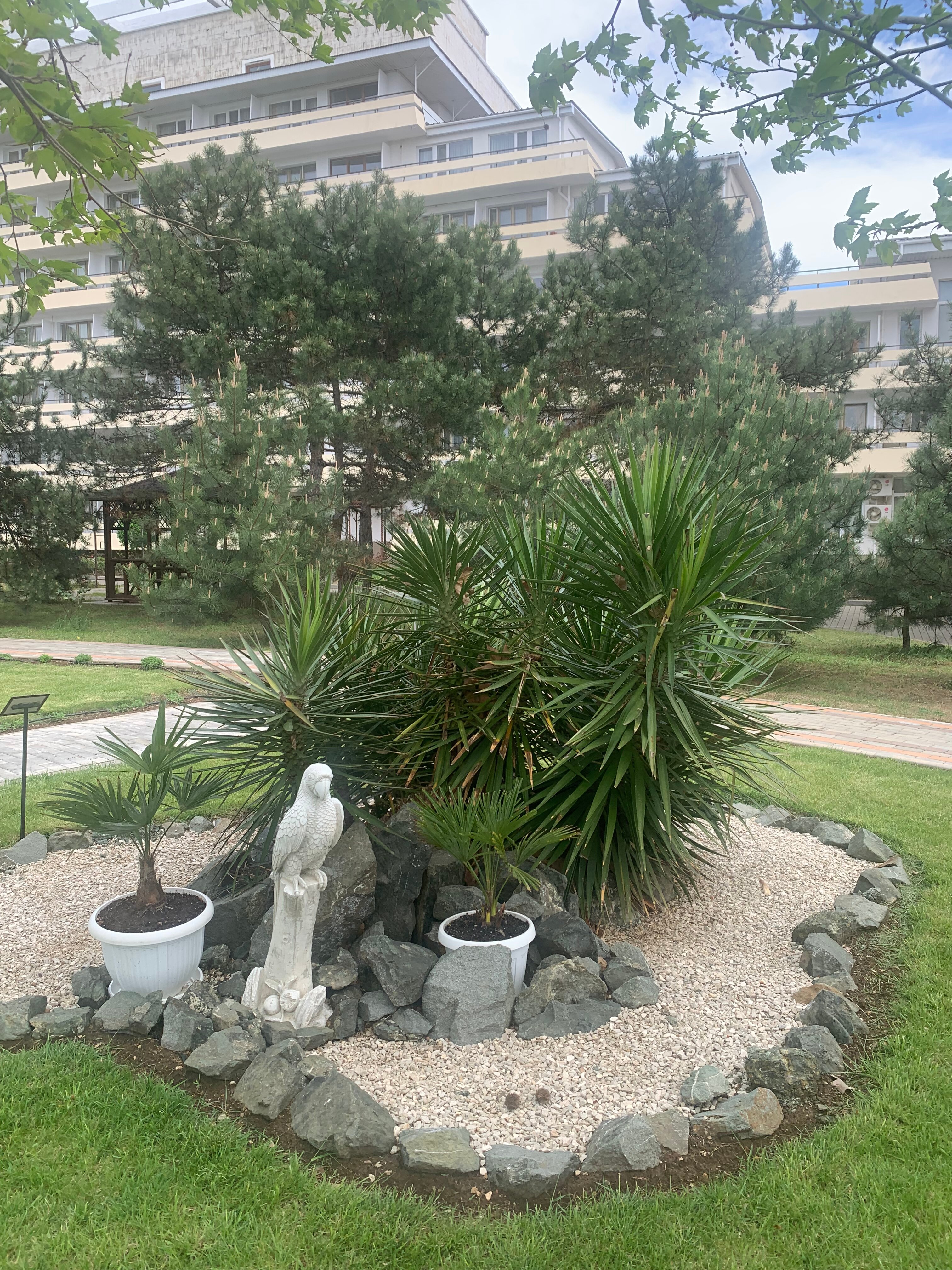 Фото Сакрополь