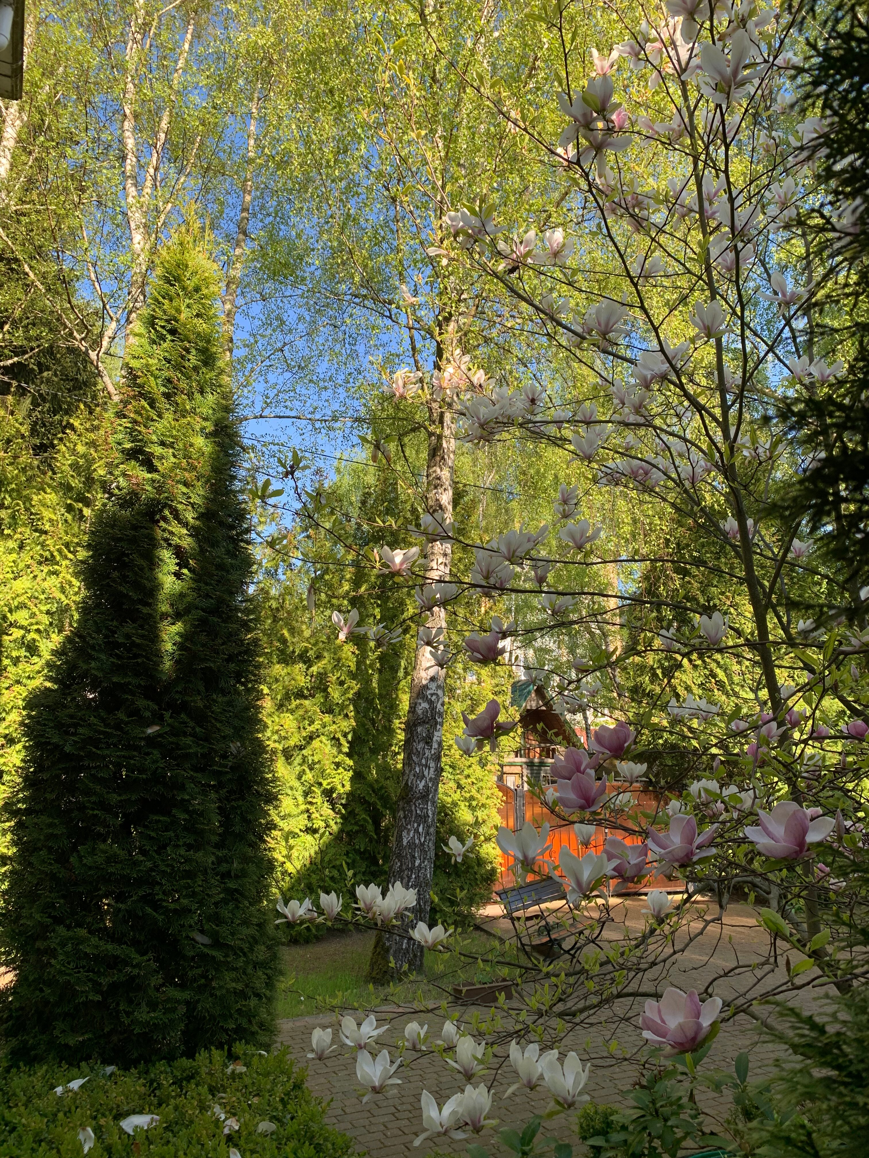 Фото Вилла Гренч