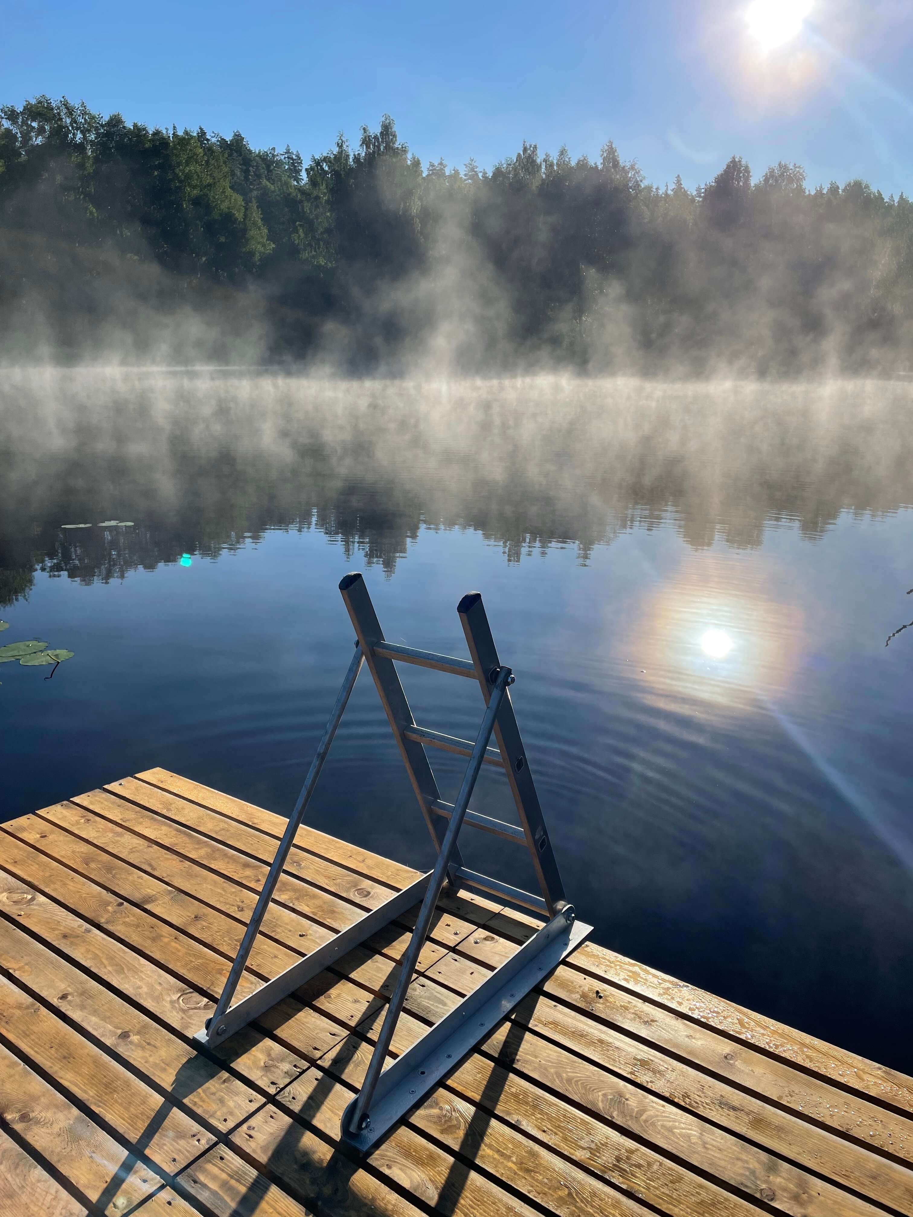 Фото Дом в лесу Холмово