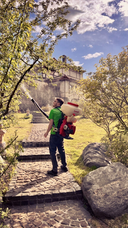 Фото Чайна Таун