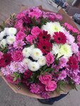 Amaryllis (Sivashskaya Street, 11), flower shop