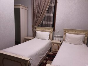 mushuk porno rasmlar