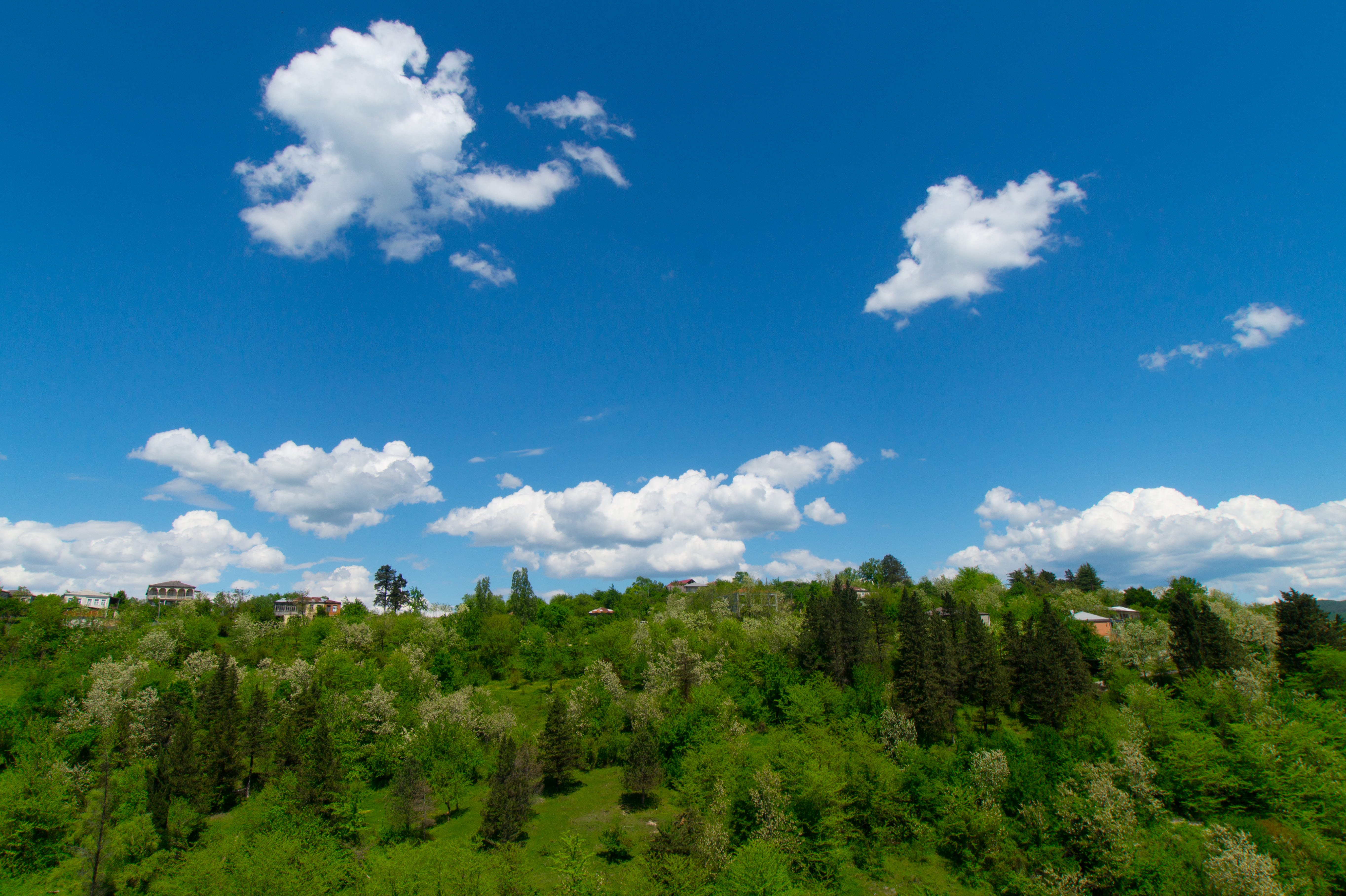 Фото Гостевой дом Bagrat
