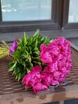 Centr Cvetov (Praskoveevskaia Street, 37), flower shop