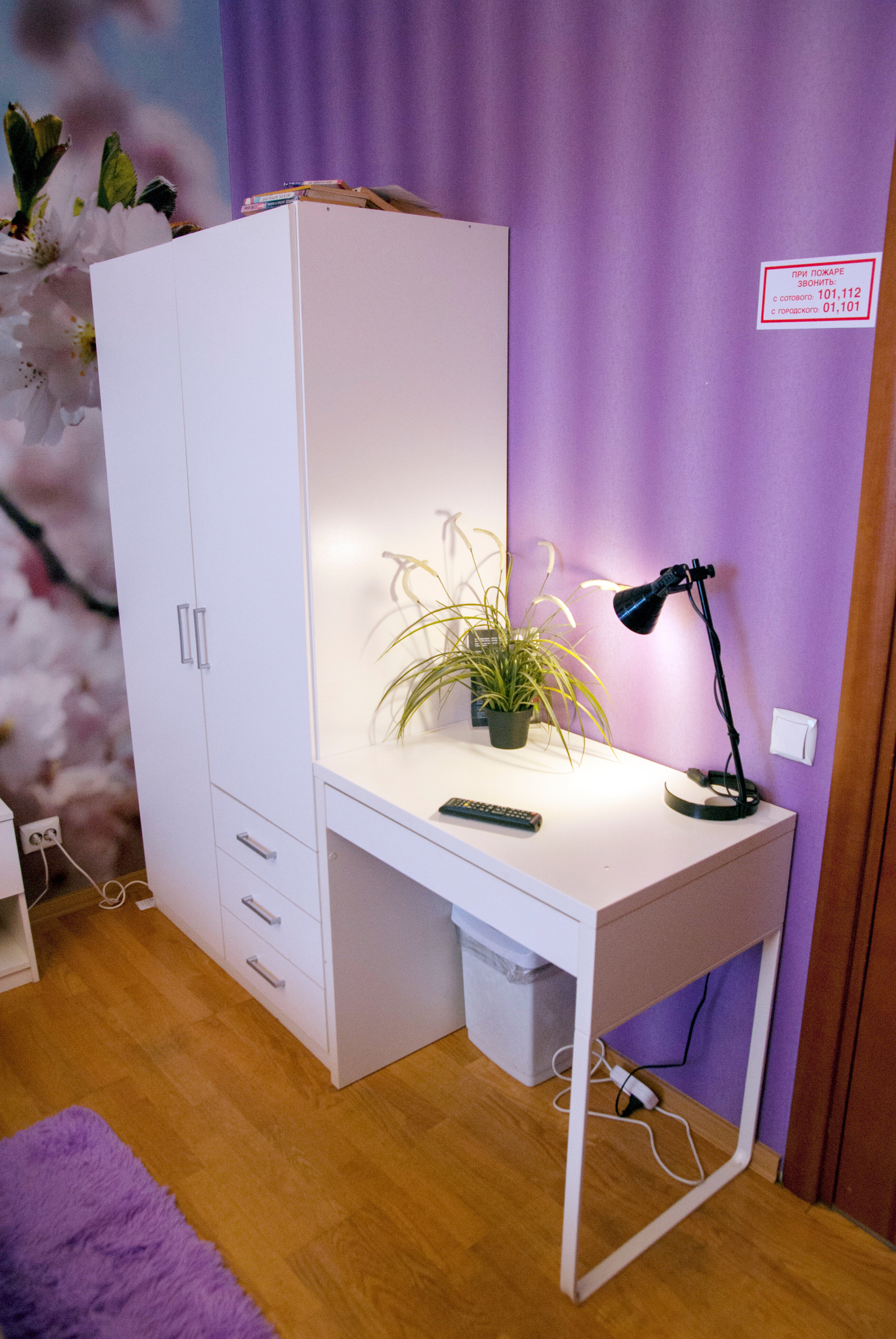 Фото Три зайца