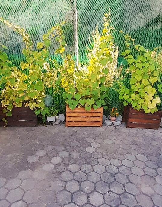 Фото Портовый