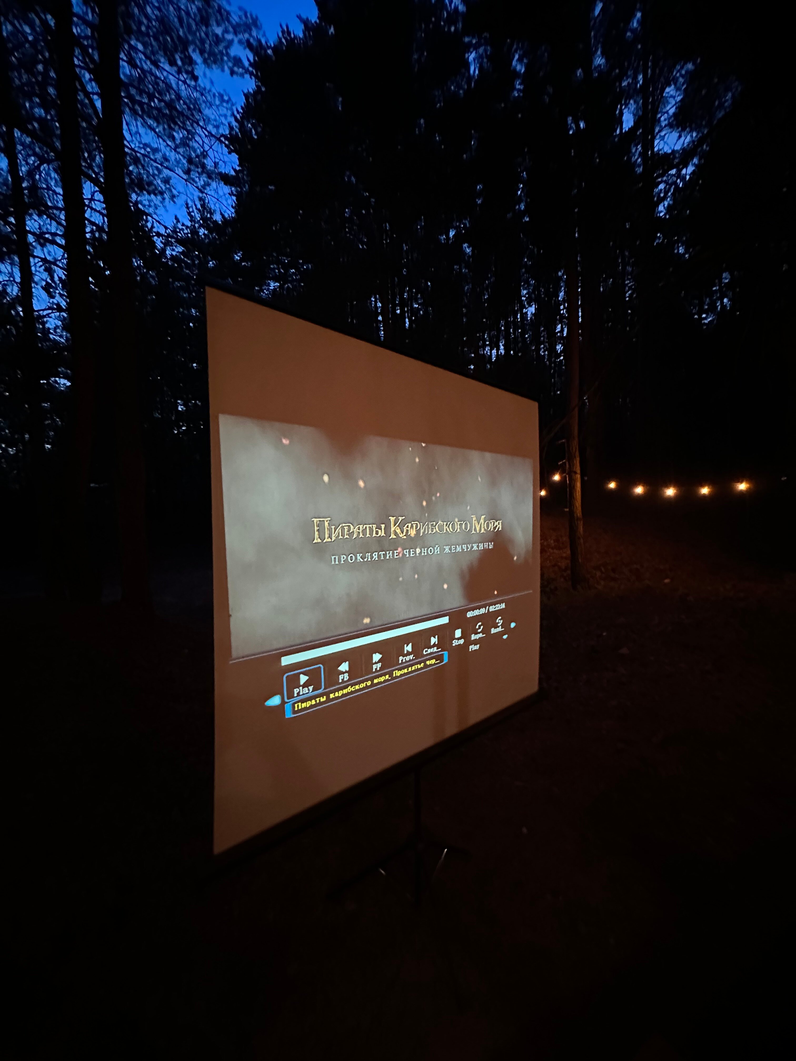 Фото Место под соснами