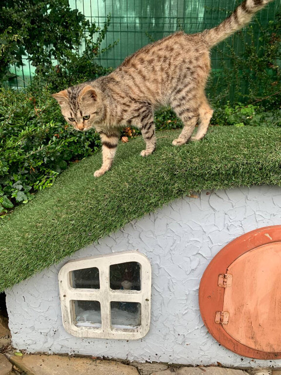 Фото Абрау Хутор