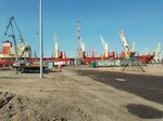 Baltiysky sudomekhanichesky zavod (Na Turukhtannye Ostrova Road, 26к5С) ، أحواض بناء السفن